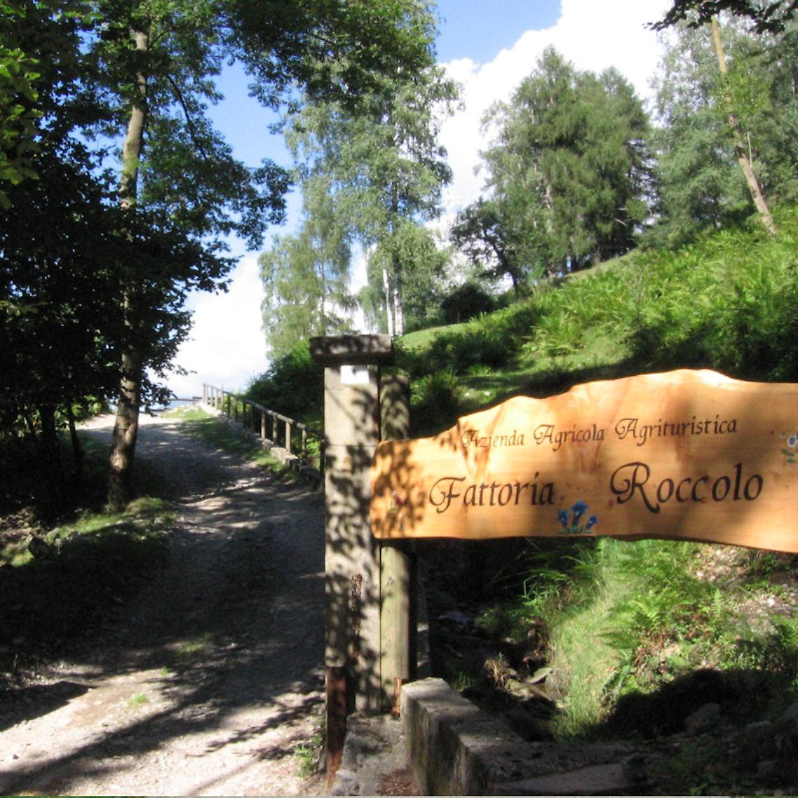 AGRITURISMO FATTORIA ROCCOLO