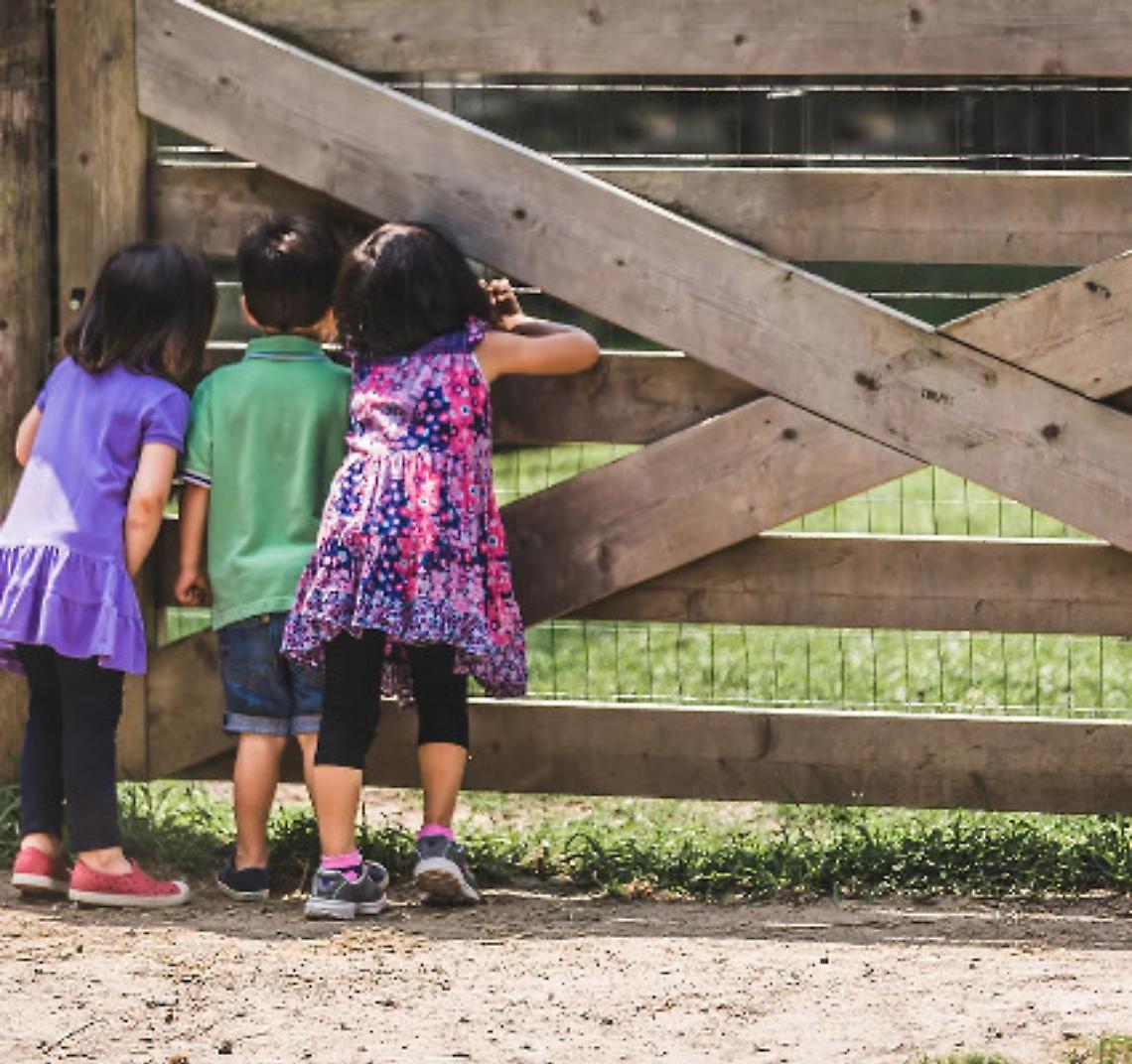 FATTORIA GAGGIO SOC.AGR. S.R.L.