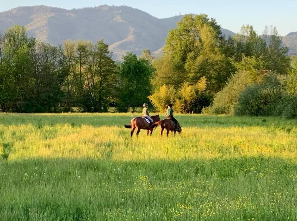 AZIENDA AGRICOLA BADI FARM 
