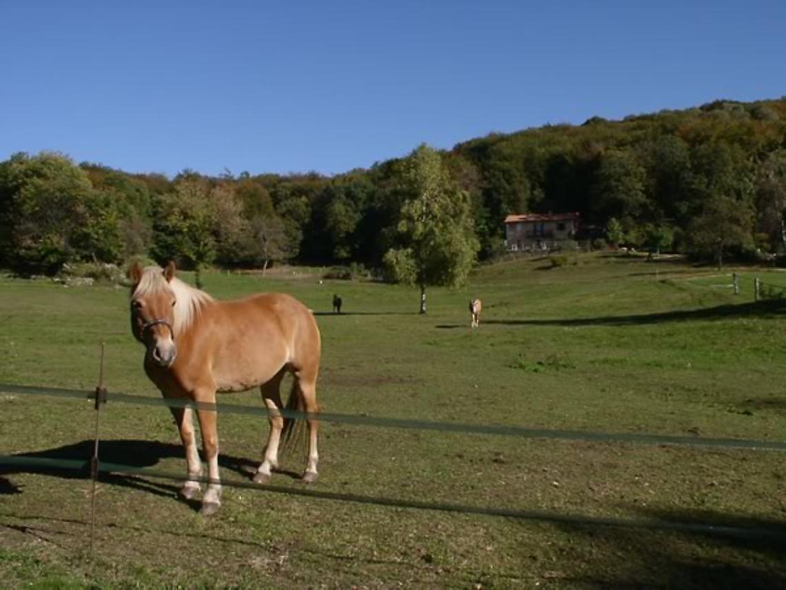 Agriturismo Alpe dei Fiori