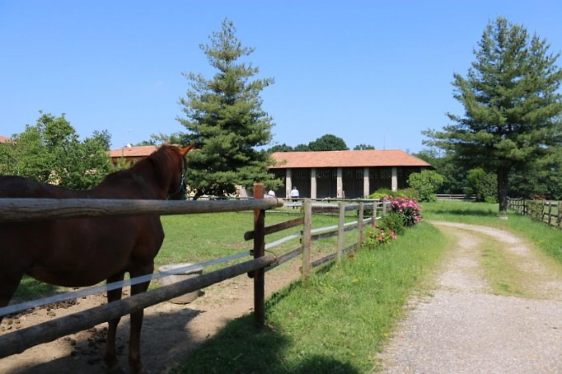 AZIENDA AGRICOLA RAZZA TICINO DI MOGLIA ANDREA