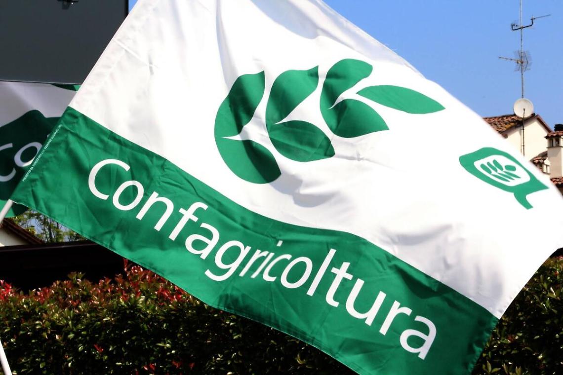 CONFAGRICOLTURA IN PIAZZA A BRUXELLES IL 18 DICEMBRE: LA BATTAGLIA SULLA PAC È PER IL FUTURO DI TUTTI