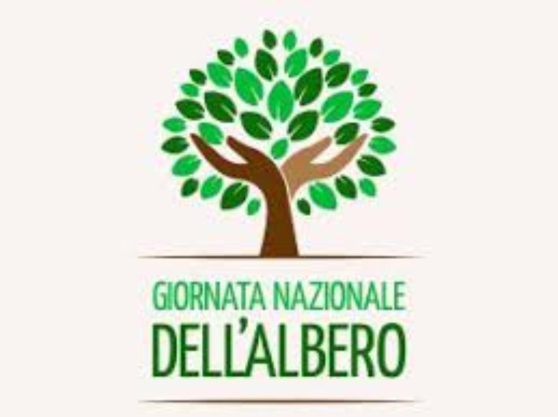 GIORNATA NAZIONALE DEGLI ALBERI, CONFAGRICOLTURA: VALORIZZARE I 12 MILIONI DI ETTARI DI BOSCO ITALIANI. URGENTE IL VOTO IN EUROPARLAMENTO SU RINVIO REGOLAMENTO DEFORESTAZIONE