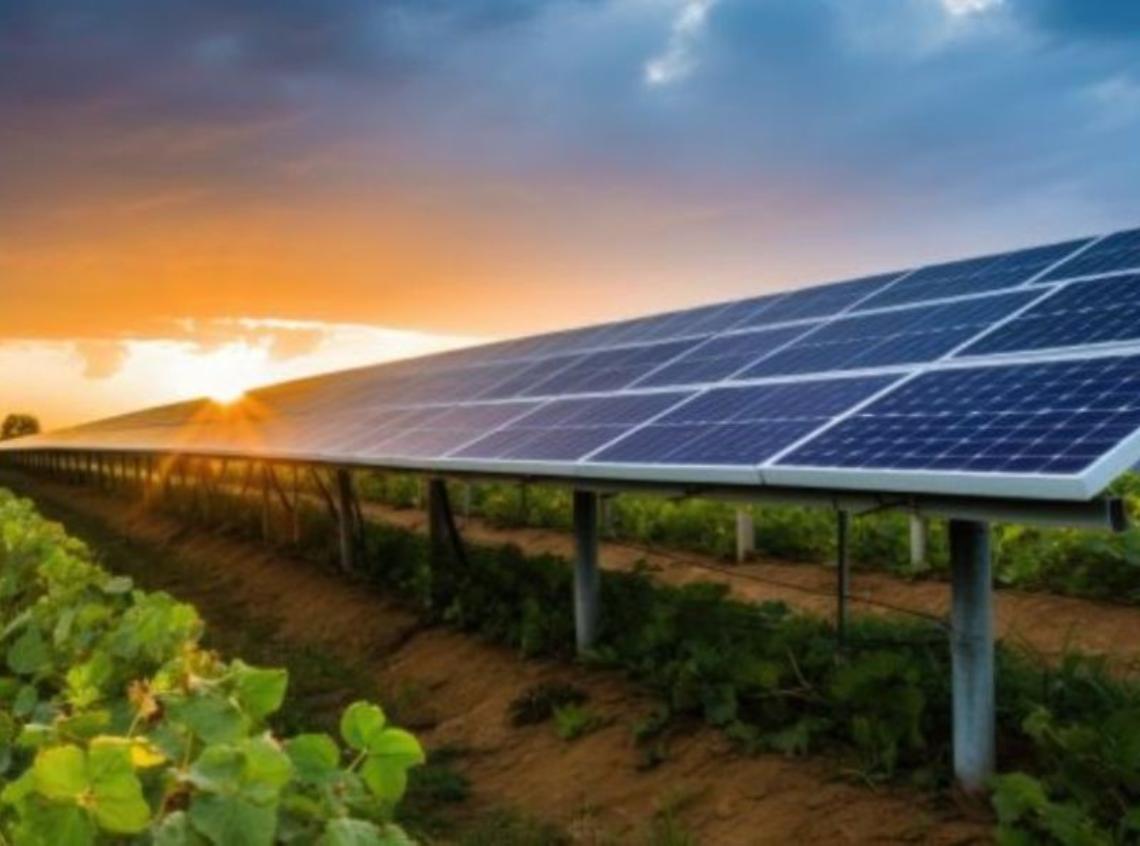 Agrivoltaico, più garanzie alle aziende: ecco tutte le correzioni ai bandi Pnrr