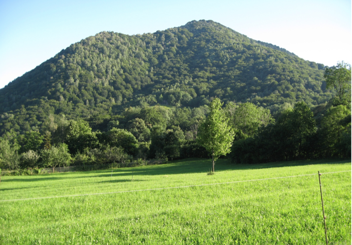 Registro rifiuti, stop agli obblighi per le piccole aziende agricole: chiarimenti e novit&agrave; sul RENTRI