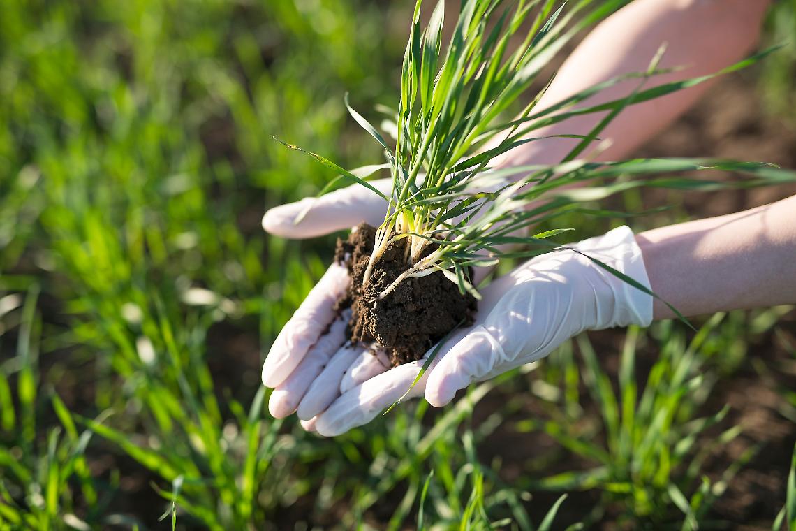 Regione Lombardia ferma il Bollettino Nitrati dal 13 febbraio 2026