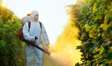 IL GLIFOSATE NON E' PERICOLOSO