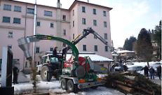 "GESTIONE FORESTALE E SOSTENIBILITA' DEGLI USI DELLE BIOMASSE FORESTALI"