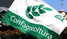 CONFAGRICOLTURA IN PIAZZA A BRUXELLES IL 18 DICEMBRE: LA BATTAGLIA SULLA PAC È PER IL FUTURO DI TUTTI