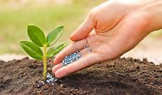 Fertilizzanti, positivo l'orientamento Ue su stop ai dazi e moratoria CBAM