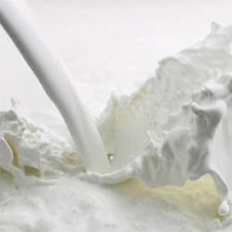 Primo Giugno, Giornata Mondiale del Latte -World Milk Day 2023