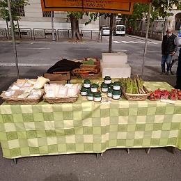 Azienda Agricola Fontana Ettore