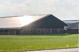 Parco Agrisolare,  il bando