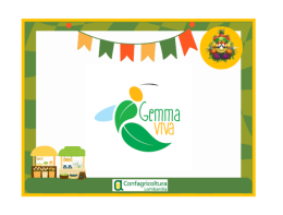 Conosciamo l' azienda agricola Gemma Viva