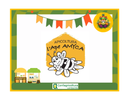 Conosciamo l' azienda agricola Ape AMYCA