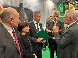 Fieracavalli, Confagricoltura: urgente rilanciare la filiera equina italiana