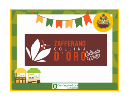 Conosciamo l' azienda agricola  AZIENDA AGRICOLA COLLINA D'ORO