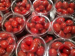 Imballaggi, Giansanti: Fondamentale il voto del PE per l'economia italiana