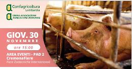 Suinicultura Domani: convivere con la PSA!