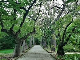 Giornata mondiale del suolo, Confagricoltura: preservare terreno fertile per produrre di più