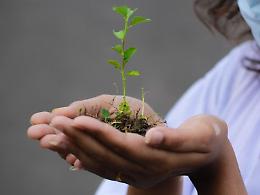 NGT: Bene il s&igrave; di oggi al Parlamento UE