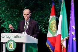 Giansanti e Nilsson, gli agricoltori rischiano di essere schiacciati da politiche commerciali Ue non eque