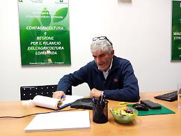 Boselli scrive a Beduschi: fermare la follia del prossimo Quaderno di Campagna