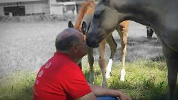 Badi: Equiraduno del Giubileo, a cavallo a Roma per l'Anno Santo 