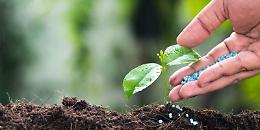 Copa e Cogeca contro la proposta della Commissione Ue sui fertilizzanti