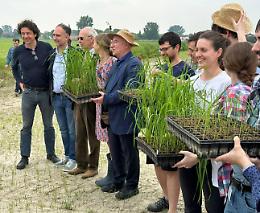 NGT, Boselli: &laquo;Avvio del negoziato in Europa passo importante&raquo;