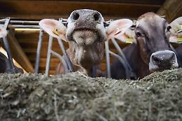 Comunicazione in agricoltura e "Fake news" in un simposio a CremonaFiere