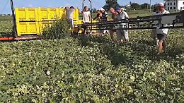 Regione Lombardia: ecco l'ordinanza anti-caldo