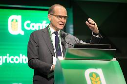  I punti critici della prossima Pac: taglio risorse, fondo unico, degressività e capping