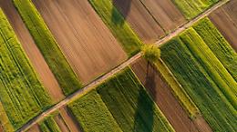 Quaderno di campagna, proroga di un anno. La soddisfazione di Confagricoltura Lombardia