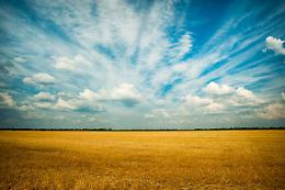 Anche la Corte dei Conti europea boccia il nuovo modello della Pac