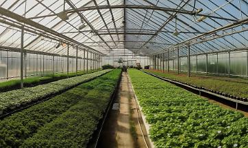 AZIENDE FLOROVIVAISTICHE: ADEMPIMENTI PER GLI OPERATORI PROFESSIONALI ISCRITTI AL RUOP