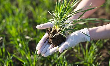 Regione Lombardia ferma il Bollettino Nitrati dal 13 febbraio 2026