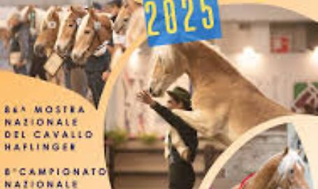 Fieracavalli Verona 2025: Successo per l'edizione 127, Confagricoltura protagonista