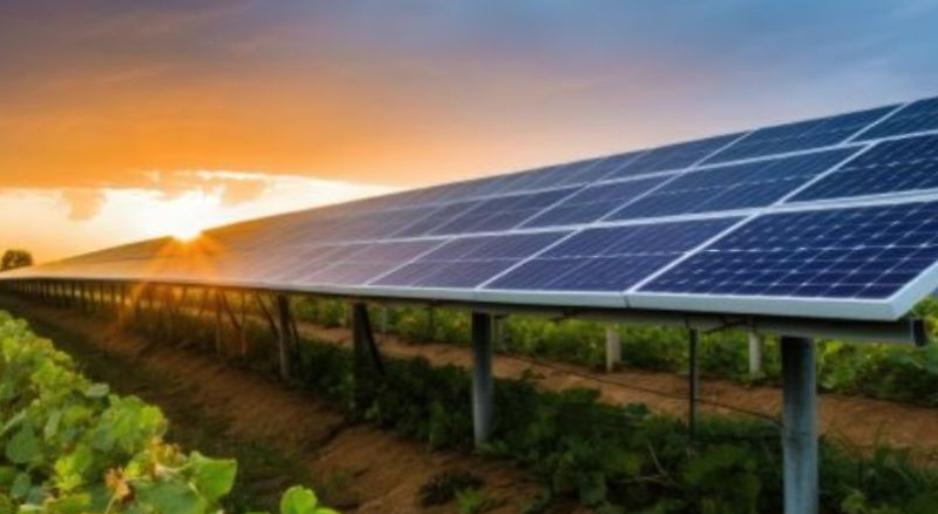 Agrivoltaico, più garanzie alle aziende: ecco tutte le correzioni ai bandi Pnrr