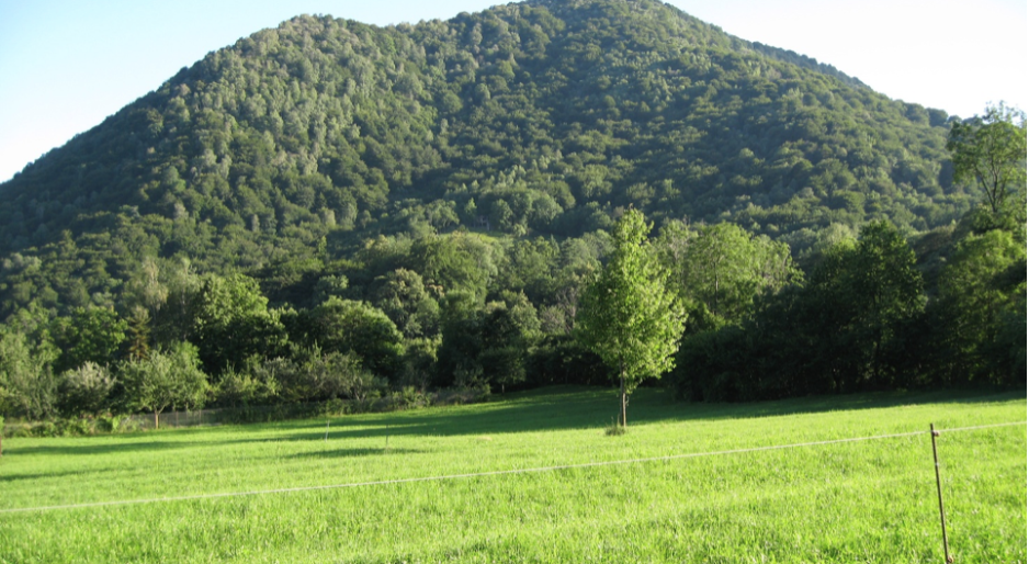 Registro rifiuti, stop agli obblighi per le piccole aziende agricole: chiarimenti e novit&agrave; sul RENTRI
