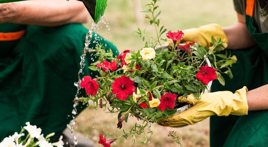 Florovivaismo: l&rsquo;eccellenza del "bello" che sfida i mercati globali